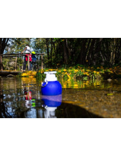 gourde sportif vitbot au nombre d or pour la randonnée et le sport sur un chemin d'une forêt. 2