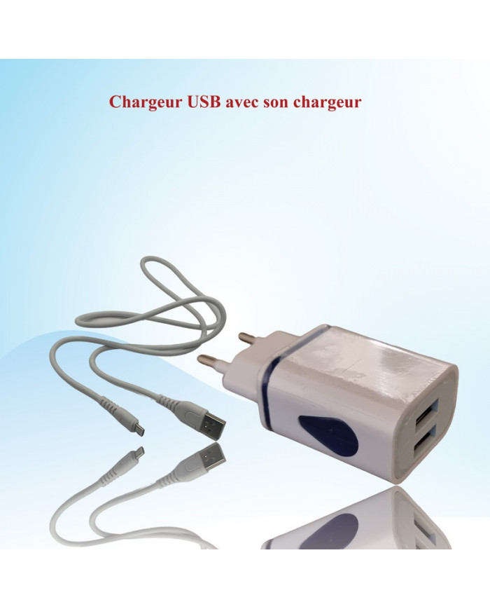 Chargeur et câble USB Double port pour vos appareils
