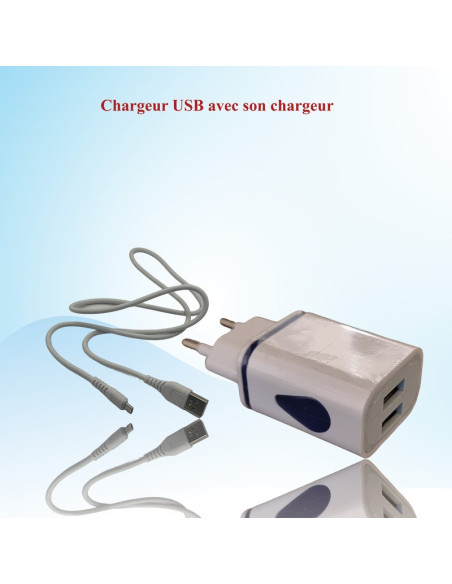chargeur USB 2 PORTS