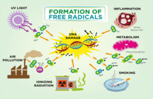 Qu'est-ce-que les radicaux libres où stress oxydatif, oxydant ?